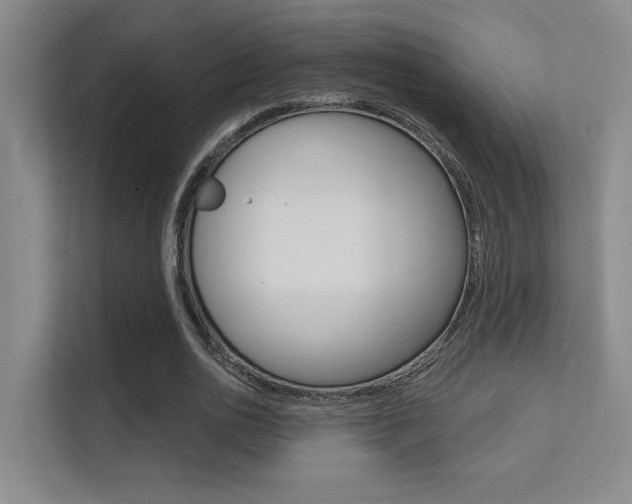 X0000112390726200908131343