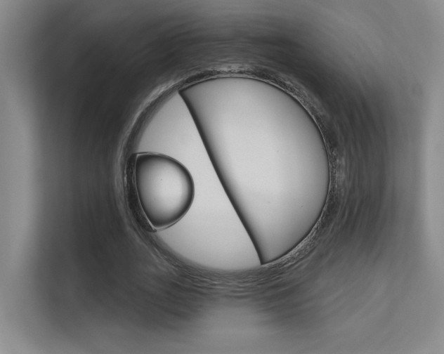 X0000112390727200908131343