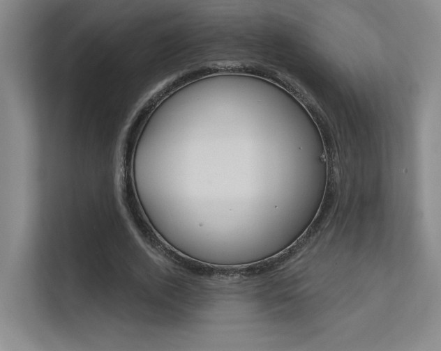 X0000112390728200908131343