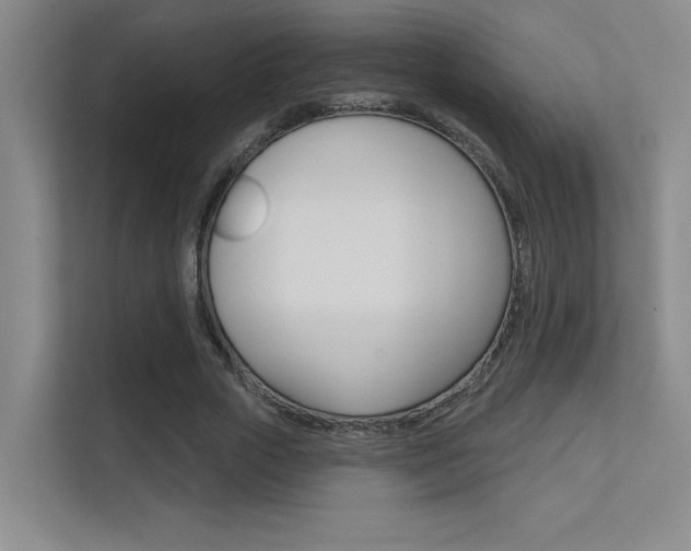 X0000112390729200908131343