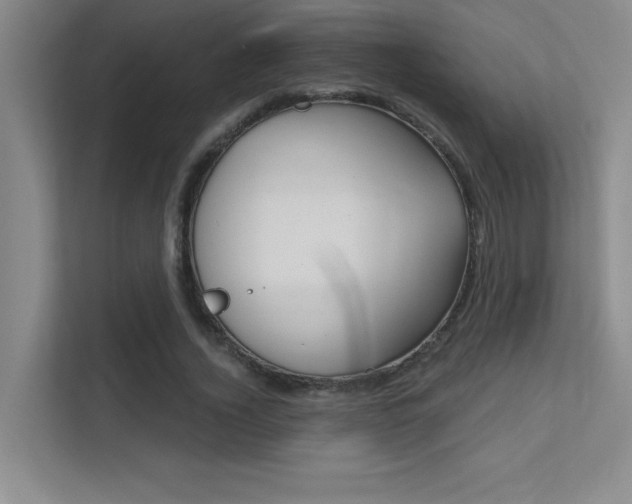 X0000112390732200908131343