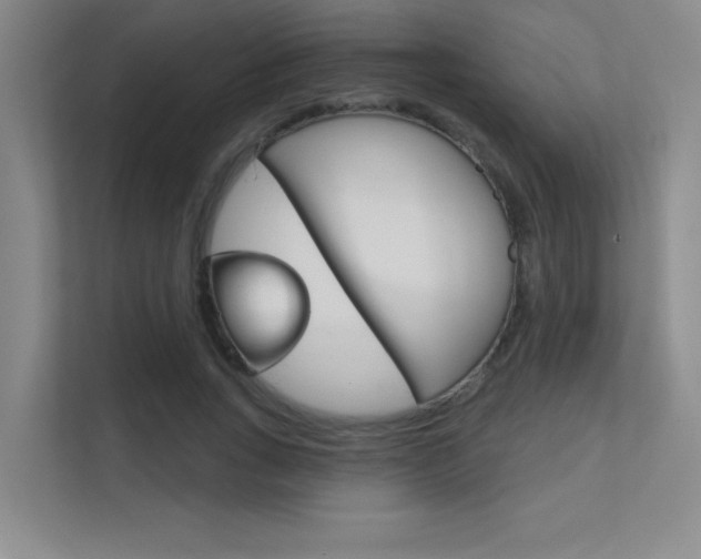 X0000112390735200908131343
