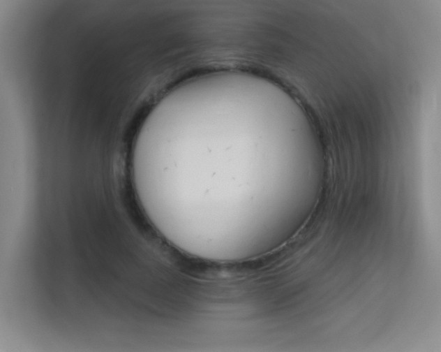 X0000112390739200908131343