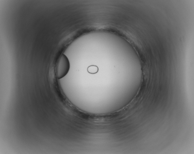 X0000112390740200908131343