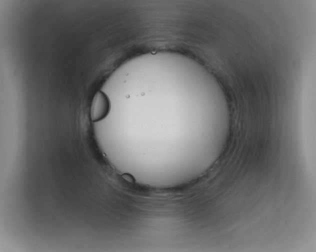 X0000112390746200908131343