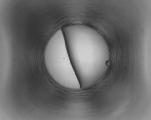 X0000112390747200908131343