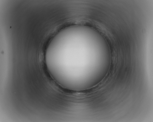 X0000112390748200908131343