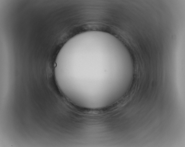 X0000112390751200908131343