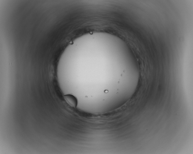 X0000112390752200908131343