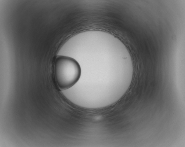 X0000112390756200908131343