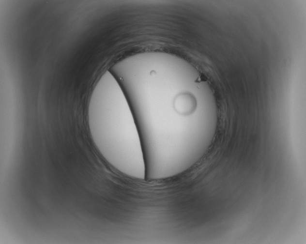 X0000112390759200908131343