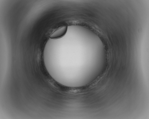 X0000112390760200908131343
