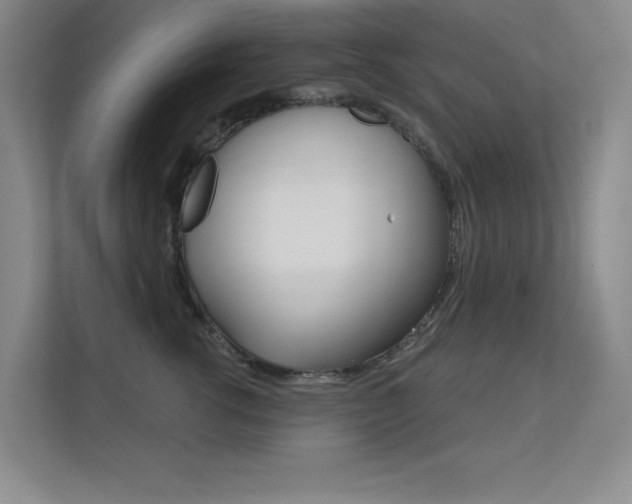 X0000112390762200908131343