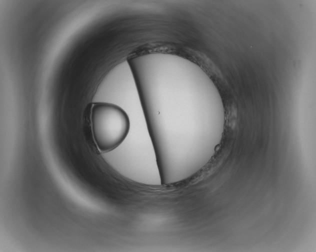 X0000112390763200908131343