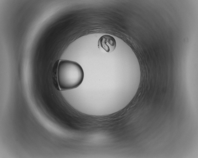 X0000112390764200908131343