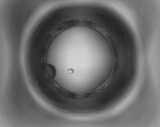 X0000112390766200908131344