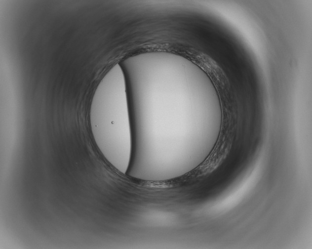 X0000112390767200908131344
