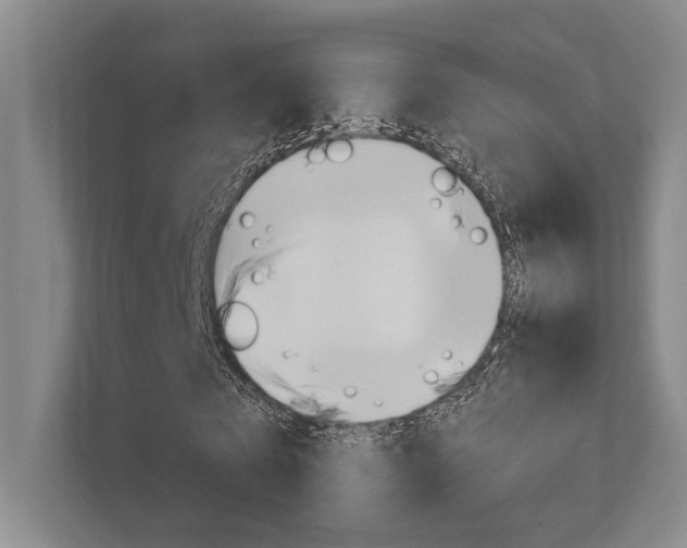 X0000112390769200908131343