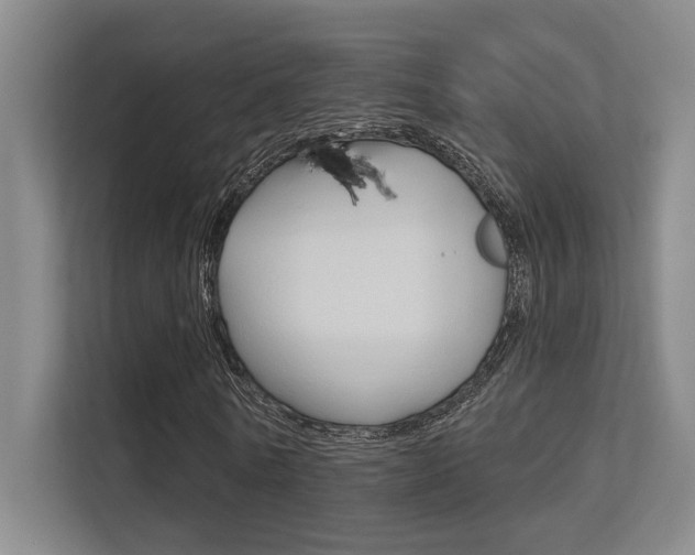 X0000112390770200908131343