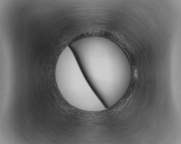 X0000112390771200908131343