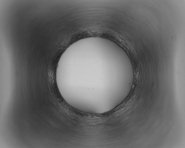 X0000112390772200908131343