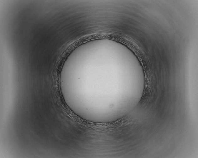 X0000112390773200908131343