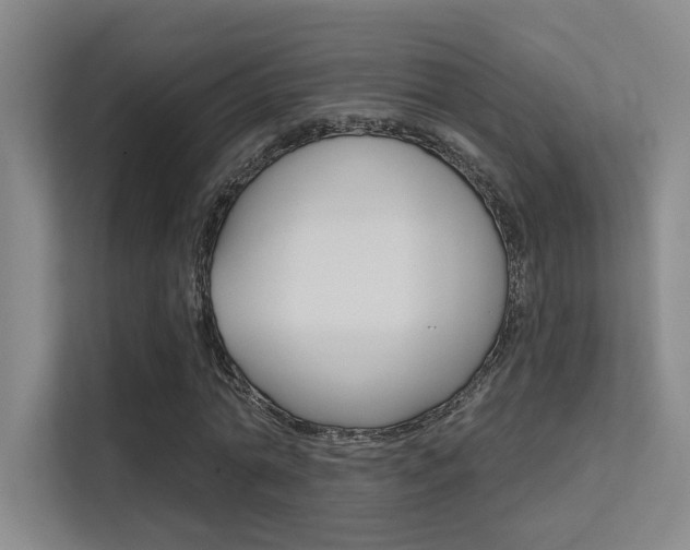 X0000112390774200908131343