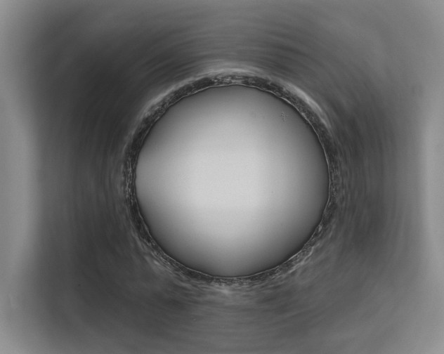 X0000112390775200908131343