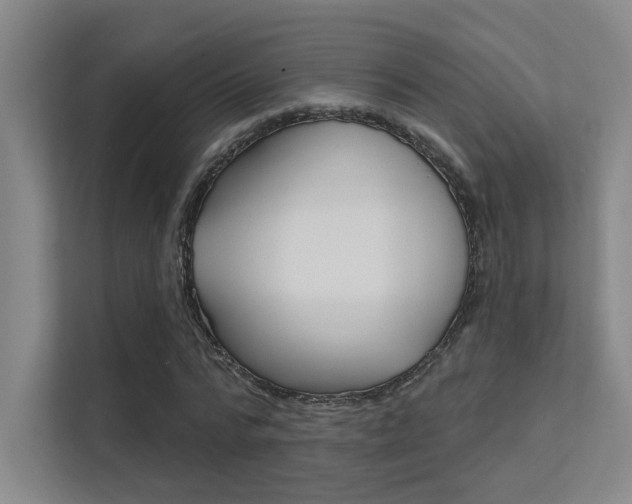 X0000112390776200908131343