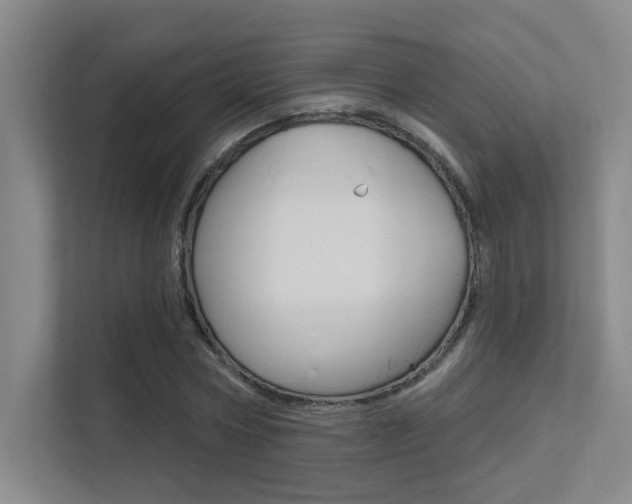 X0000112390778200908131343
