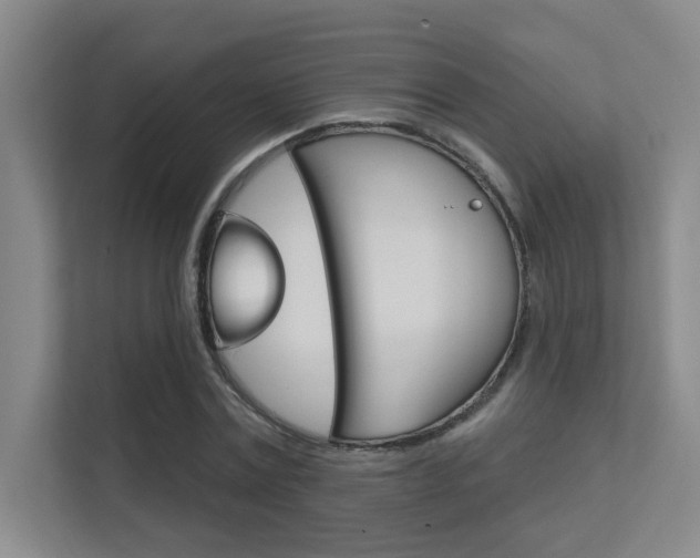 X0000112390779200908131343