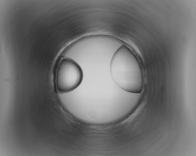 X0000112390781200908131343