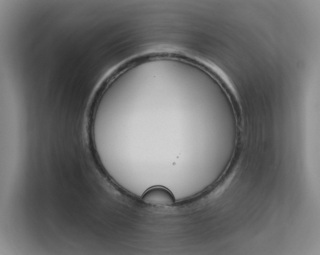 X0000112390783200908131343