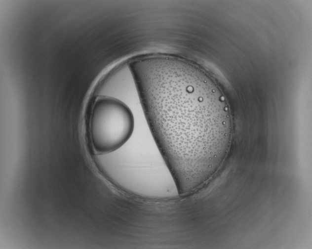 X0000112390784200908131343