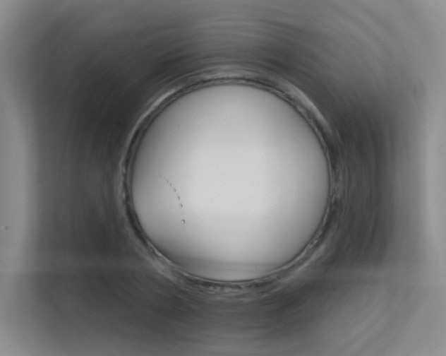 X0000112390786200908131343
