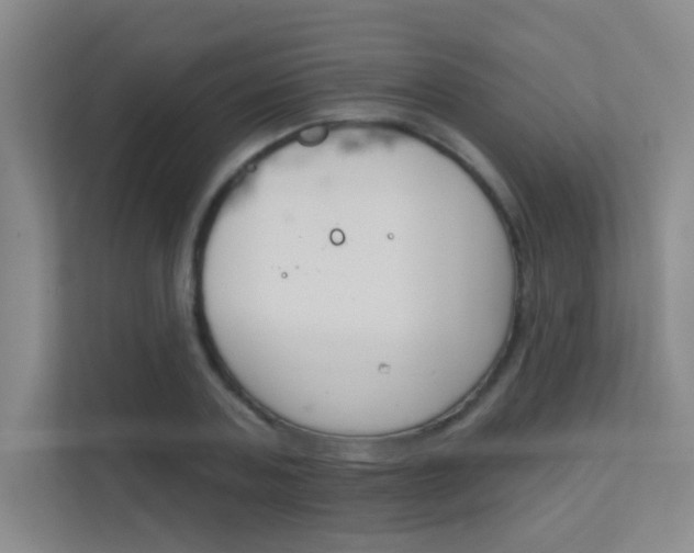 X0000112390787200908131343