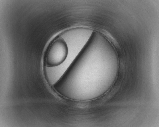 X0000112390788200908131343