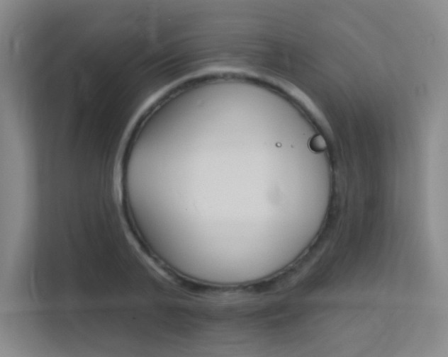 X0000112390791200908131343