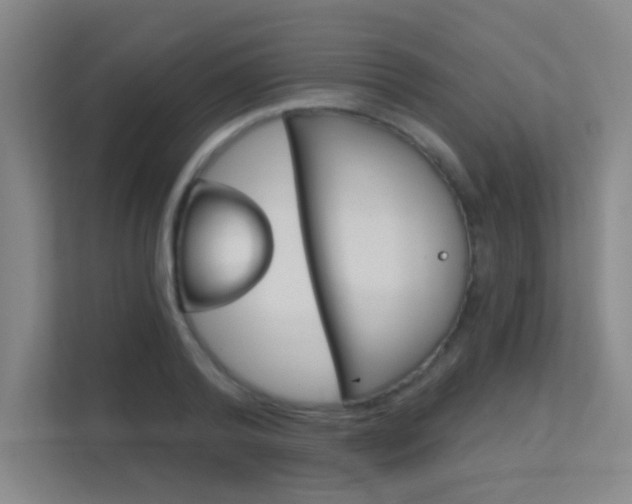 X0000112390792200908131343