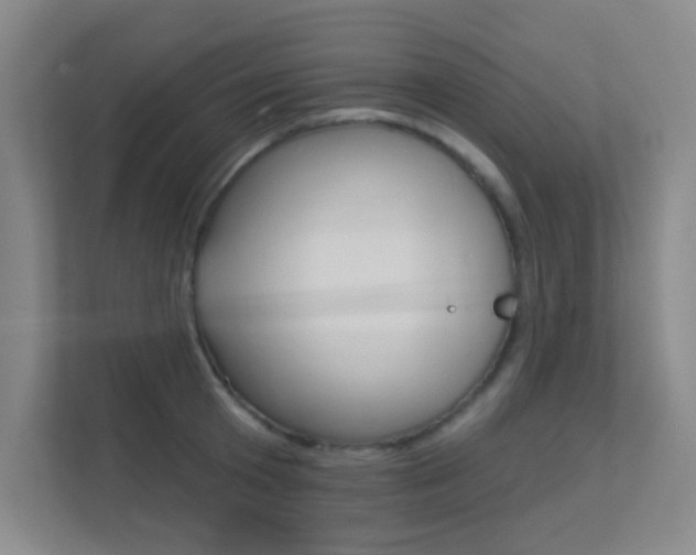 X0000112390801200908131342