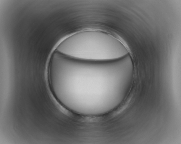 X0000112390803200908131342