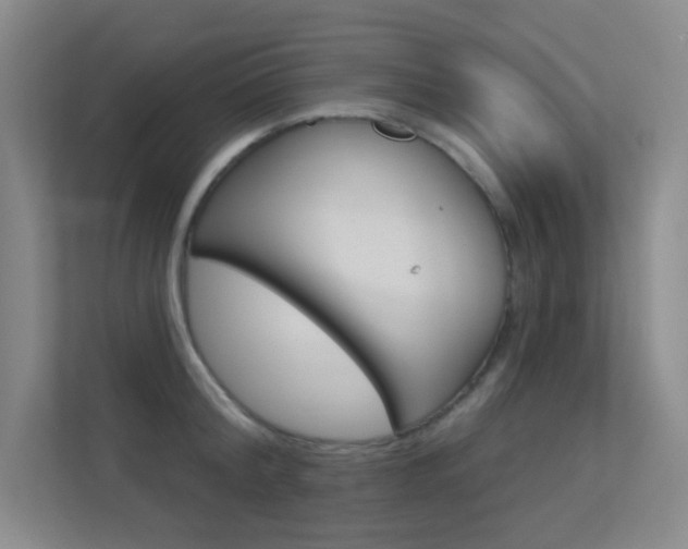 X0000112390804200908131342