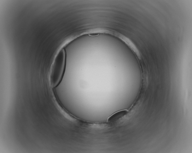 X0000112390805200908131342
