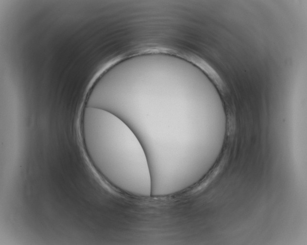X0000112390806200908131342