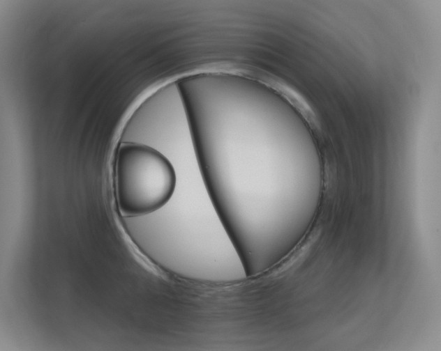 X0000112390808200908131342