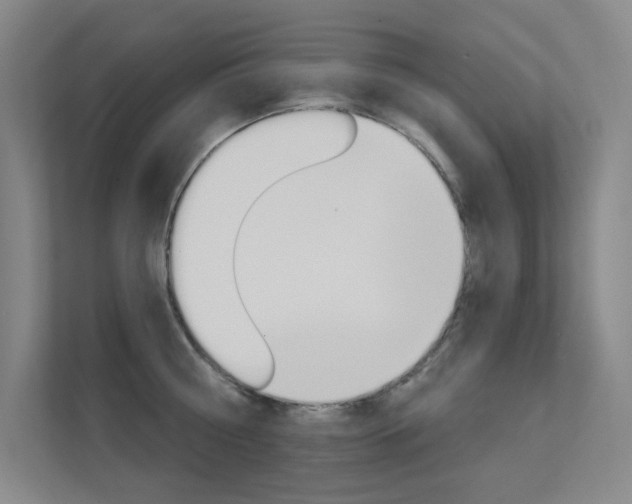 X0000112390810200908131342
