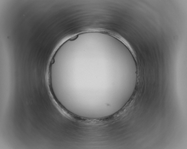 X0000112390811200908131342