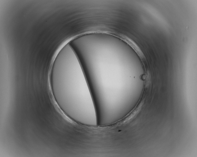X0000112390812200908131342
