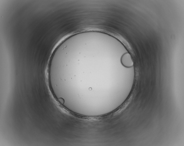 X0000112390814200908131342