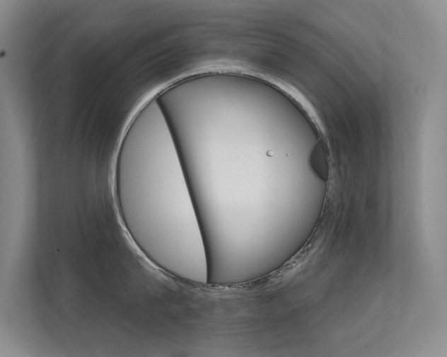 X0000112390815200908131342